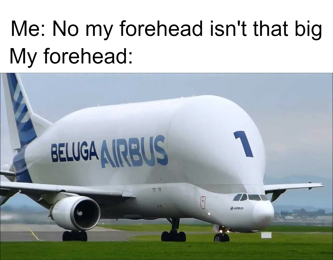 a03d763b-5ec6-4e7f-a142-0e0d5699b05e-image.png