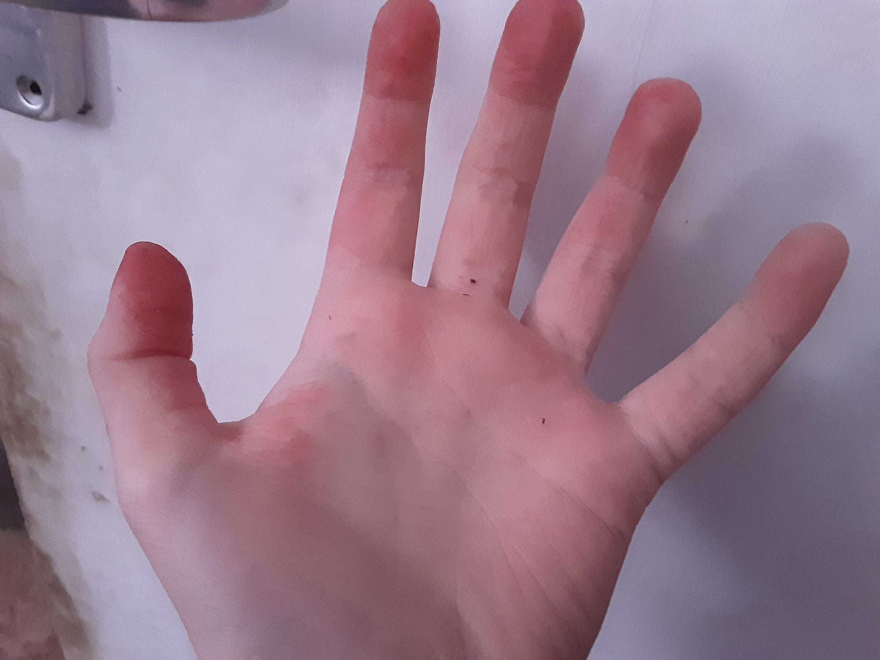 20230425_180107.jpg
