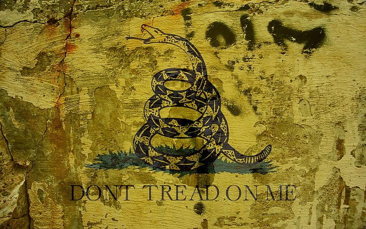 snake-metallica-don-t-tread-on-me-wallpaper-preview.jpg