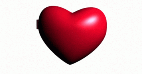 f0b0f91637244ded55d5e027f16123d0.gif
