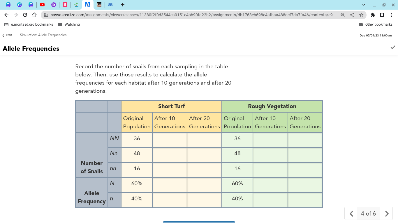 e4522446-ef8a-4fe8-85a9-22ca313e2bbc-image.png