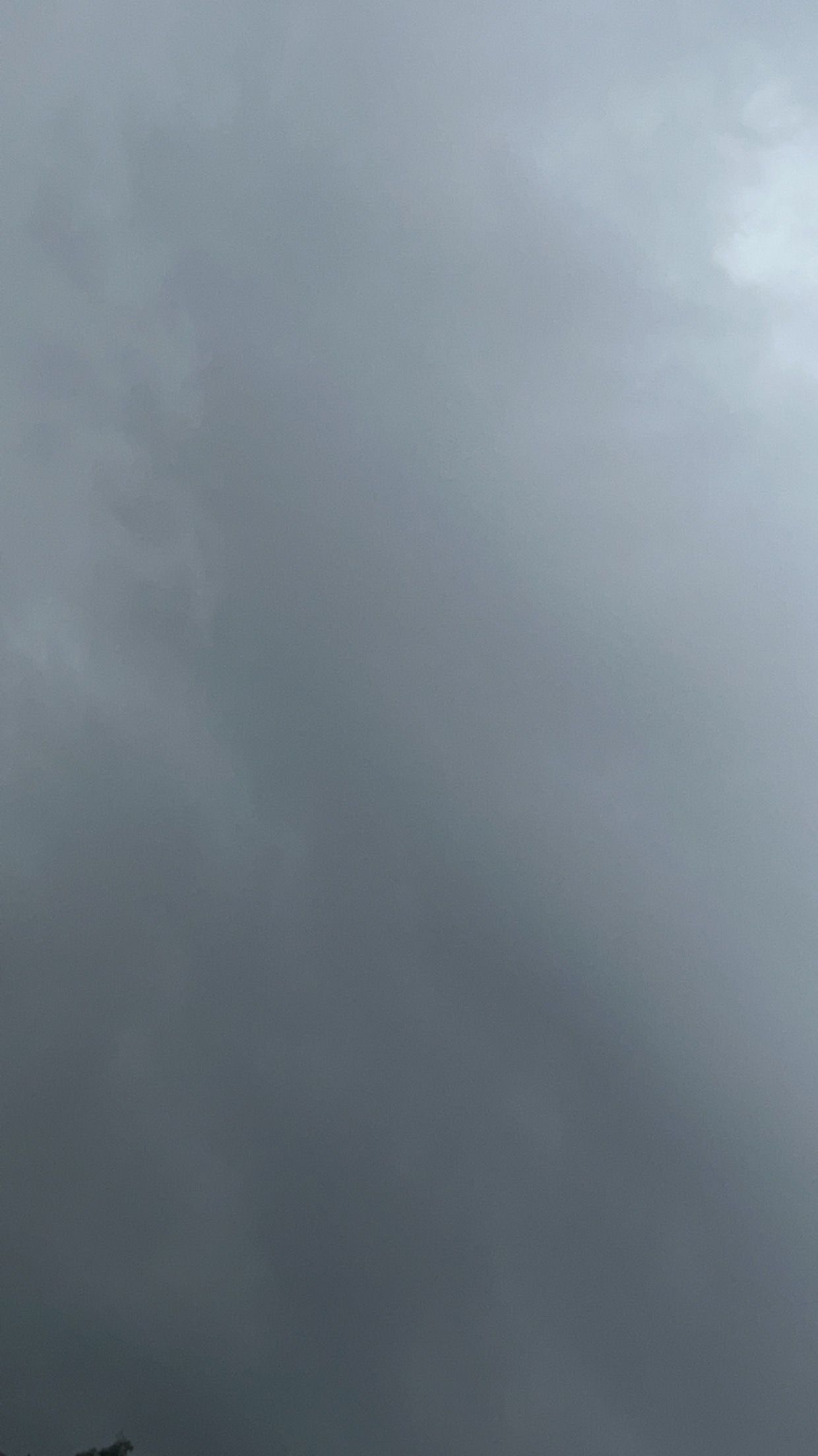 A4434545-42C2-4E37-A6FE-98B49193B972.jpeg
