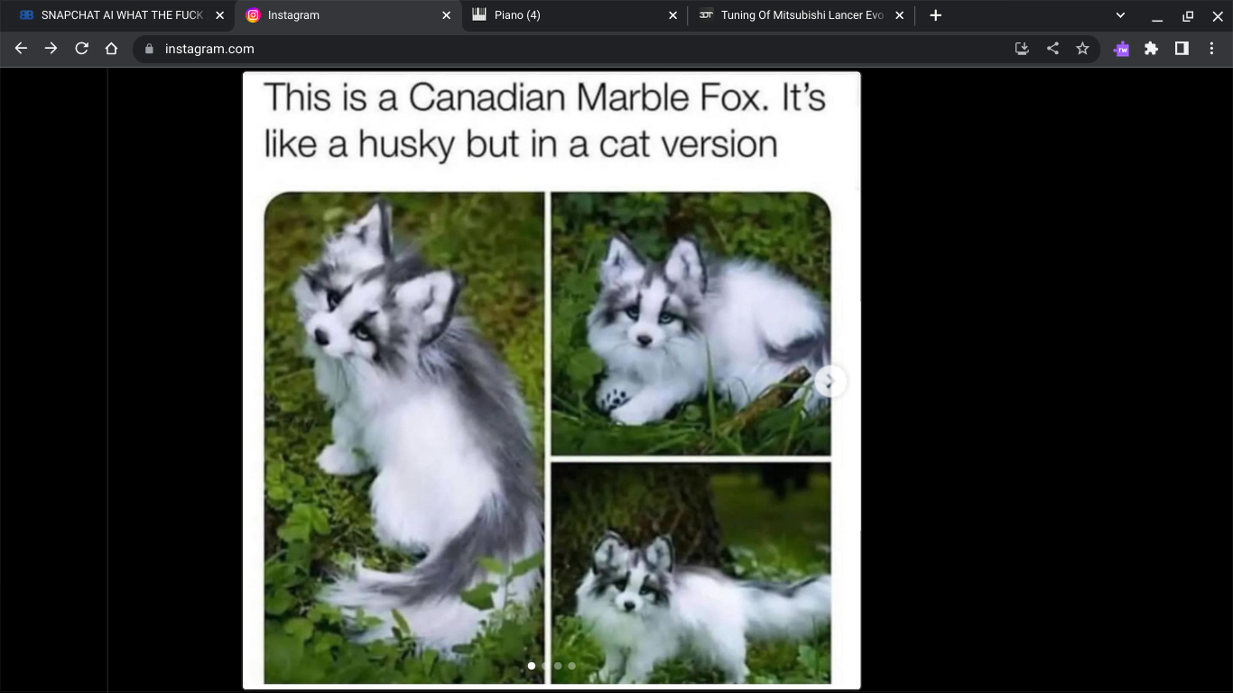 a60a186d-5e68-4595-8f36-a058c408ebae-image.png