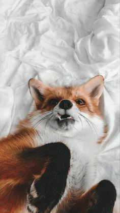 86461285-0e54-4e22-968d-d33e88beab96-image.png
