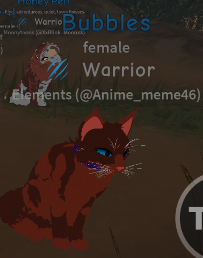 20521705-2b9b-4895-b930-dc91b65292d6-image.png