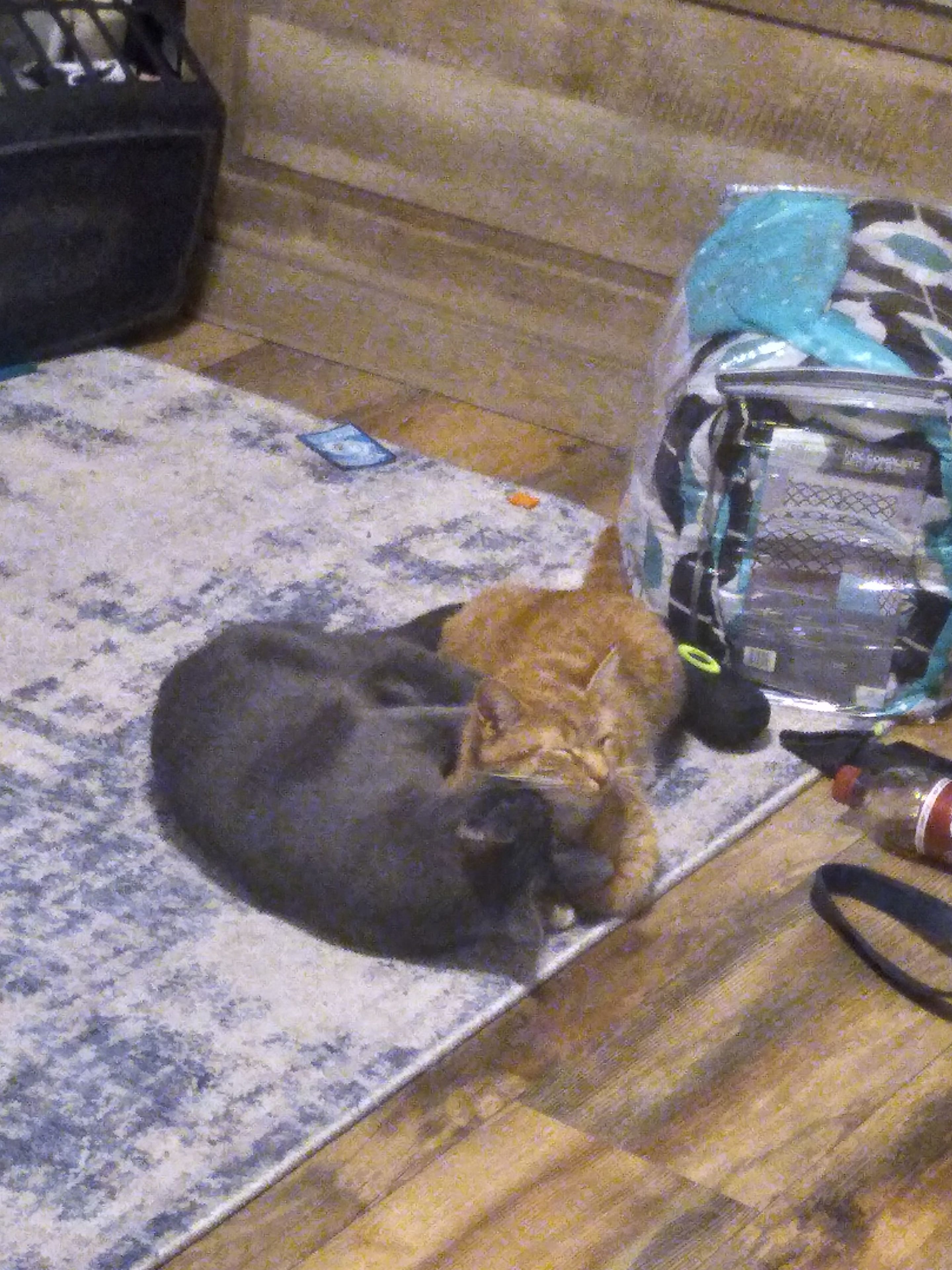 20230510_204027.jpg