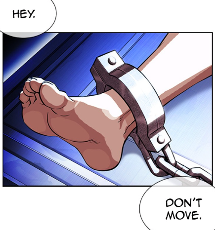 9916985a-49c3-4700-a4c6-f1b77a8c22f9-image.png