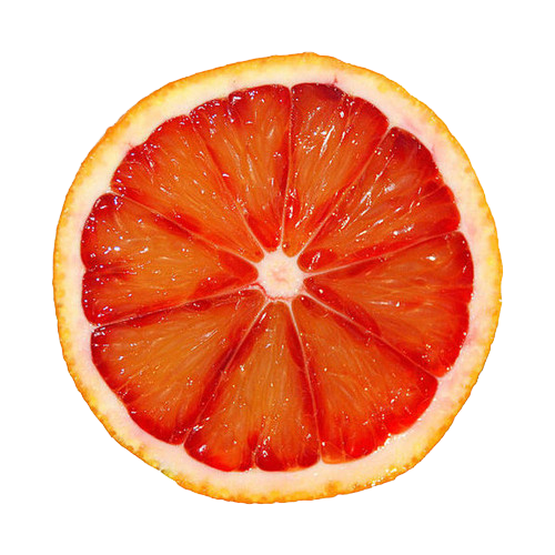 R.png