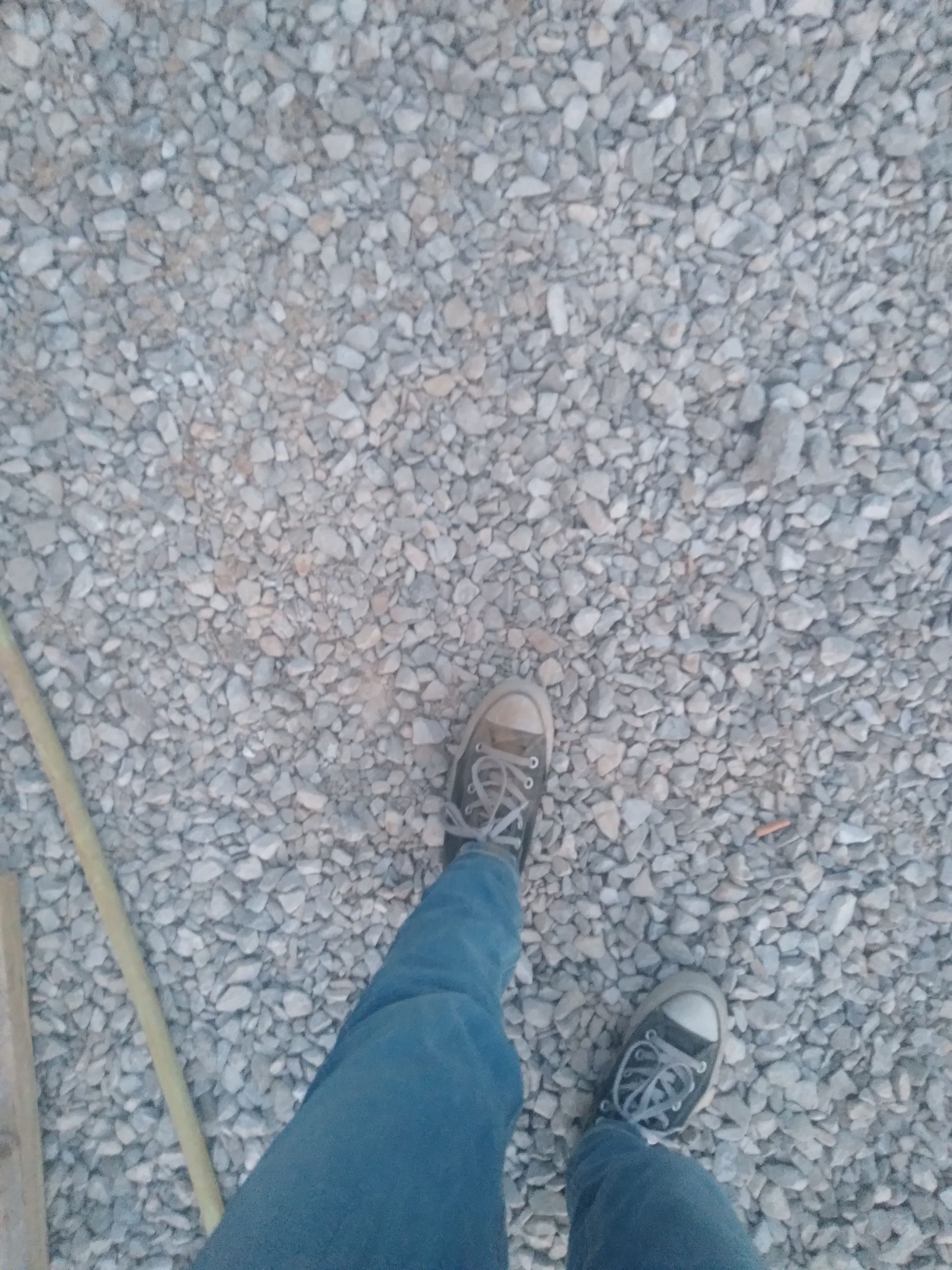 20230413_192947.jpg