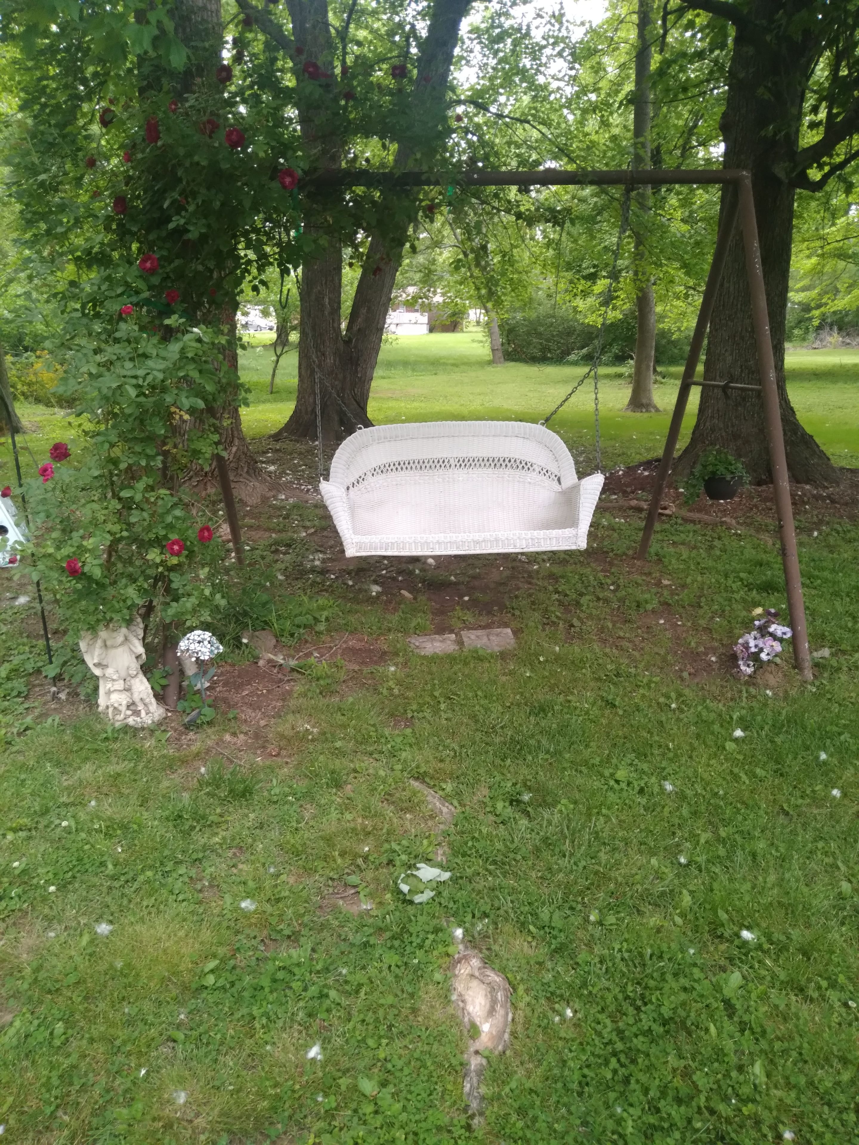 20230510_183614.jpg