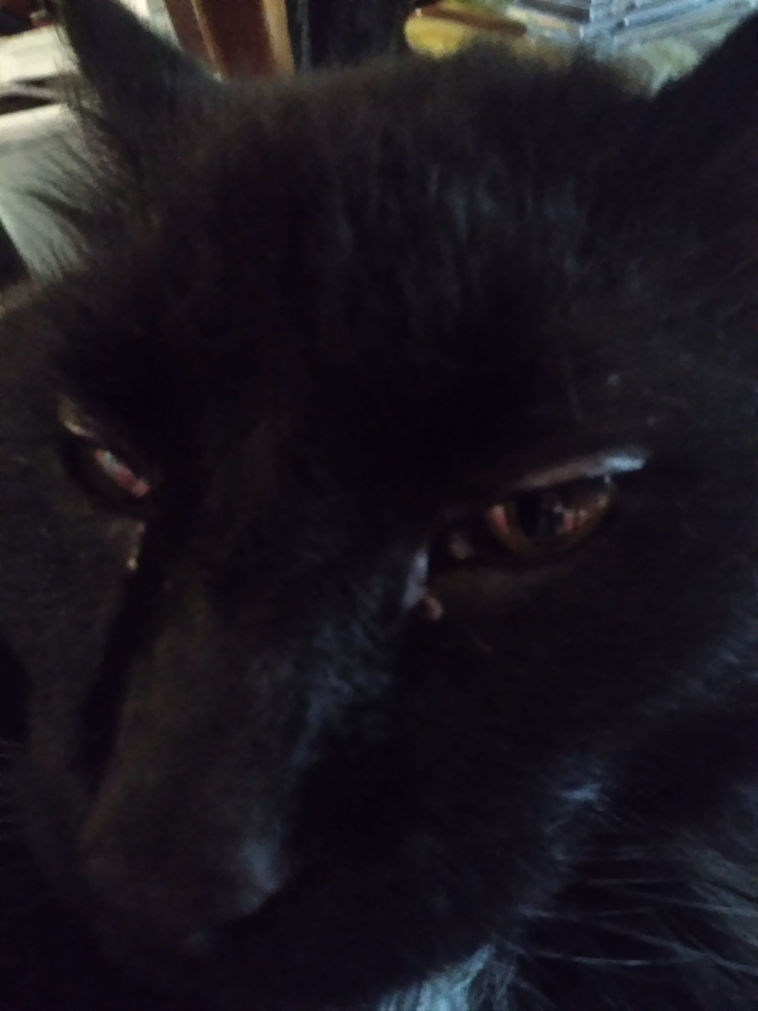 20230510_180628.jpg