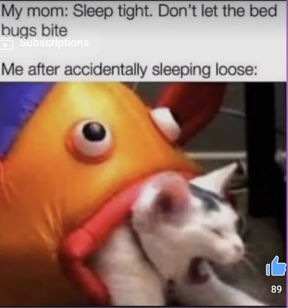 Screenshot_20230203-182528.png