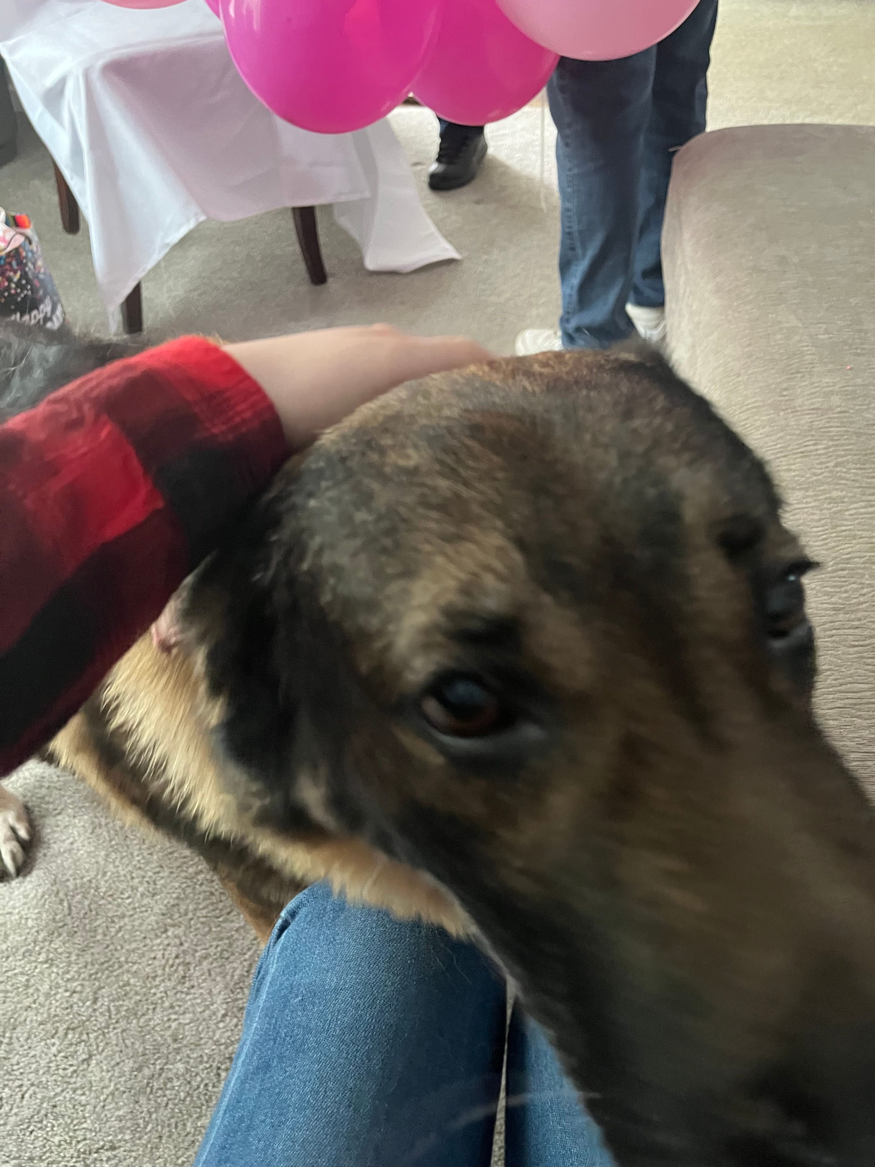 IMG_0890.jpeg