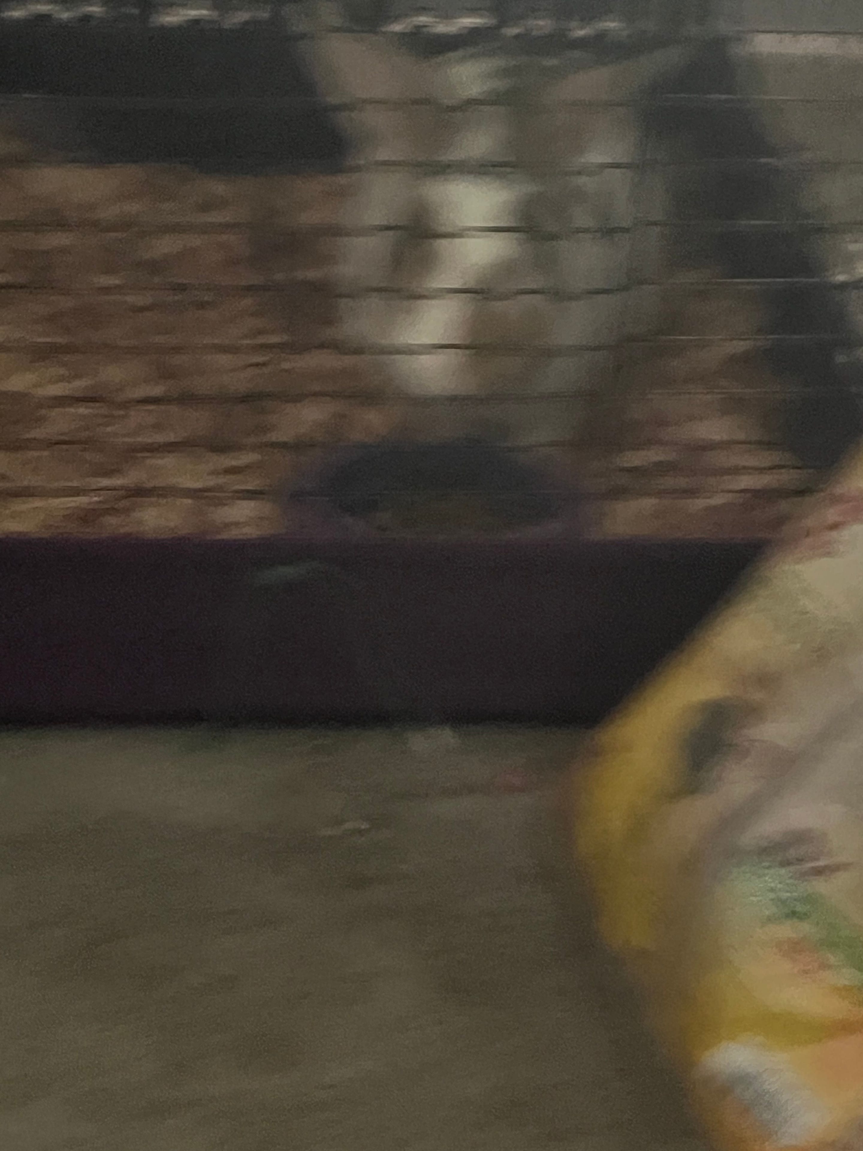 IMG_0892.jpeg