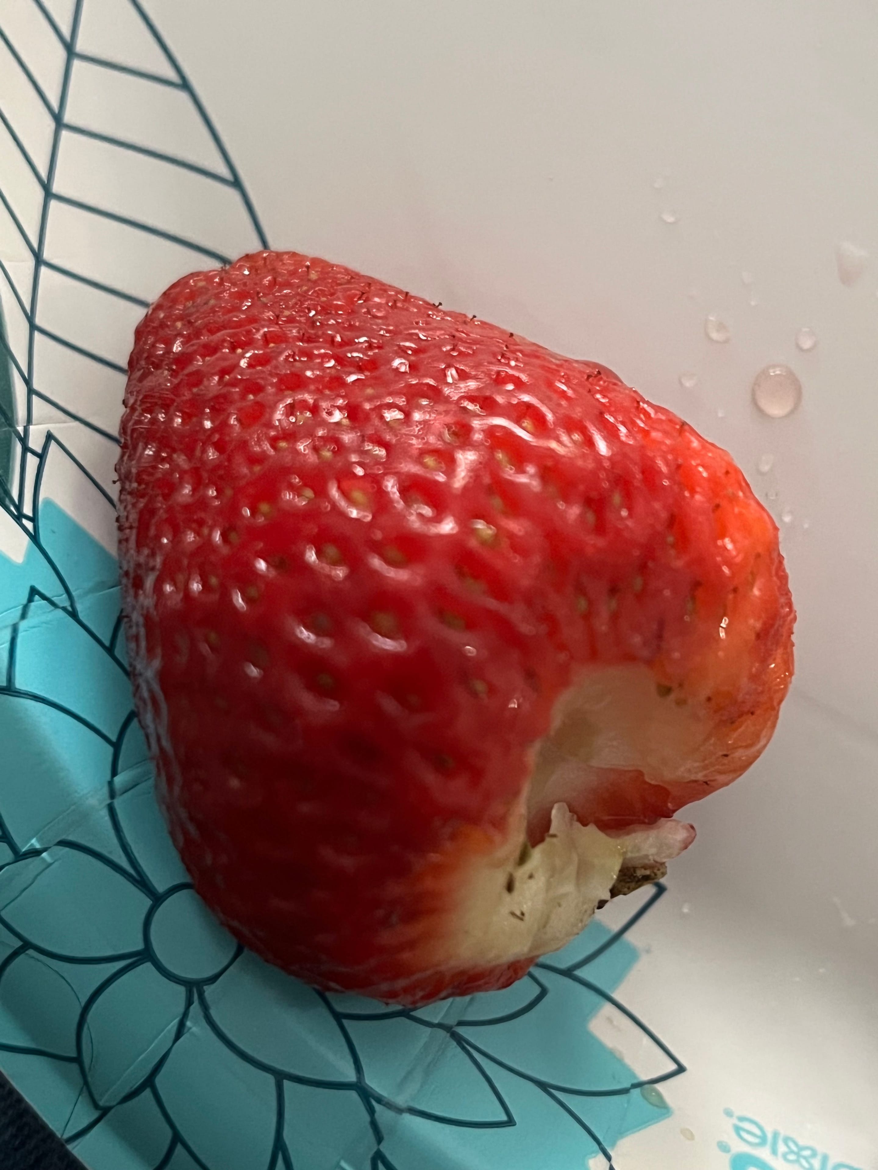 IMG_0893.jpeg