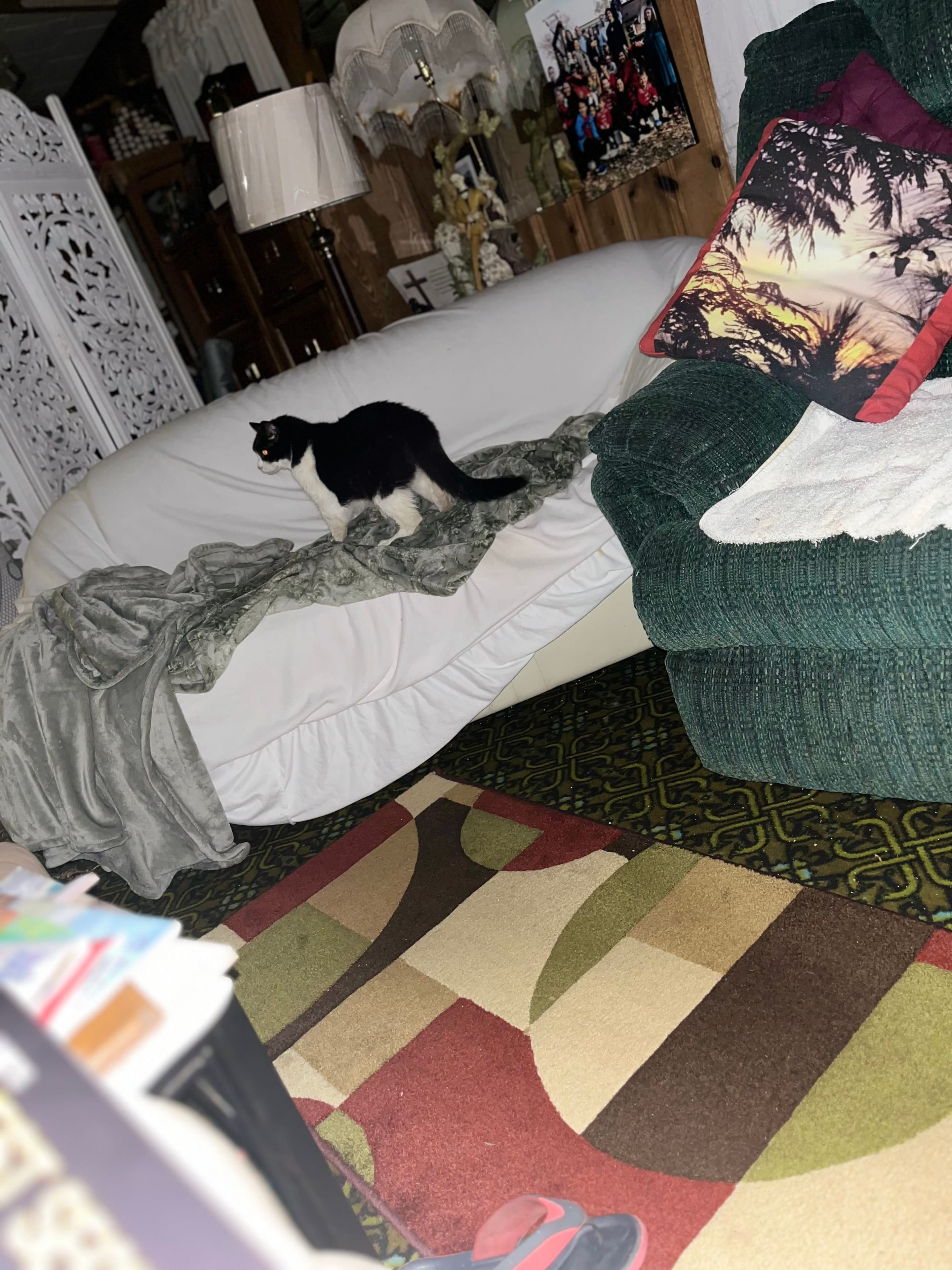 IMG_0915.jpeg