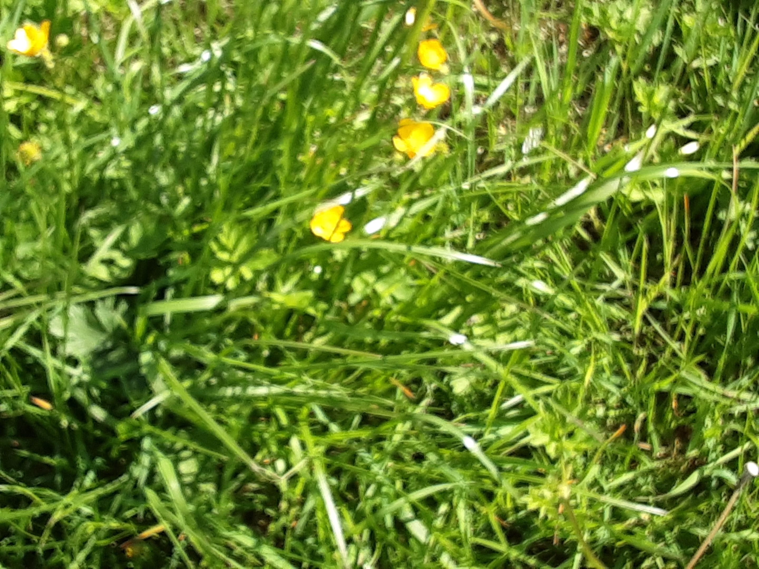20230521_133027.jpg
