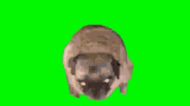 EEAEAF0C-9356-4692-B0BD-5C01C8A2F915.gif