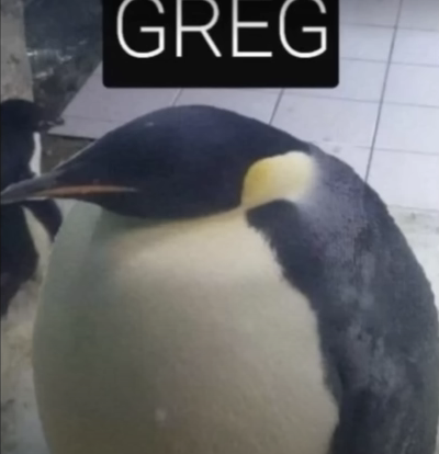 Greg.png