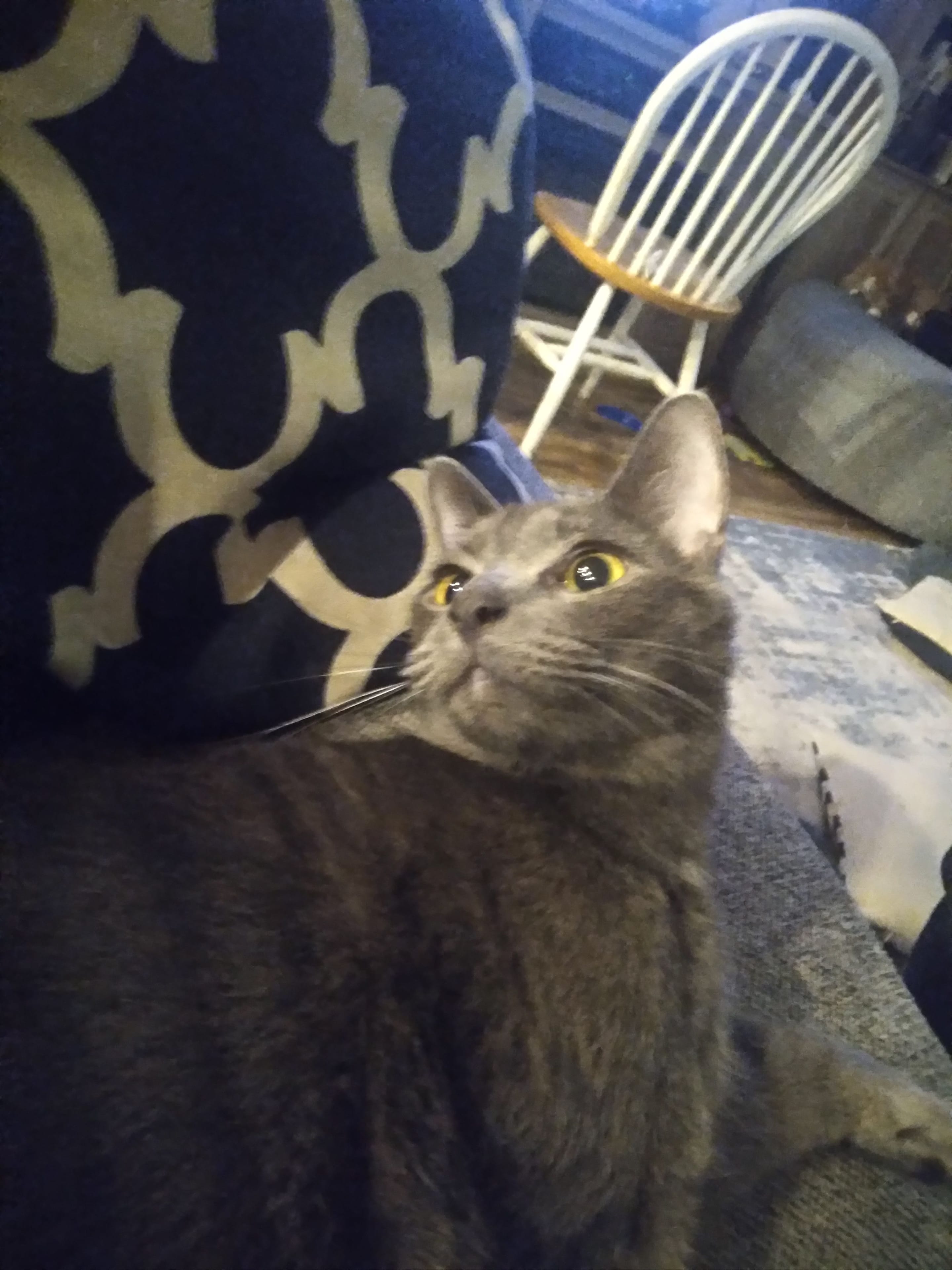 20230528_144046.jpg