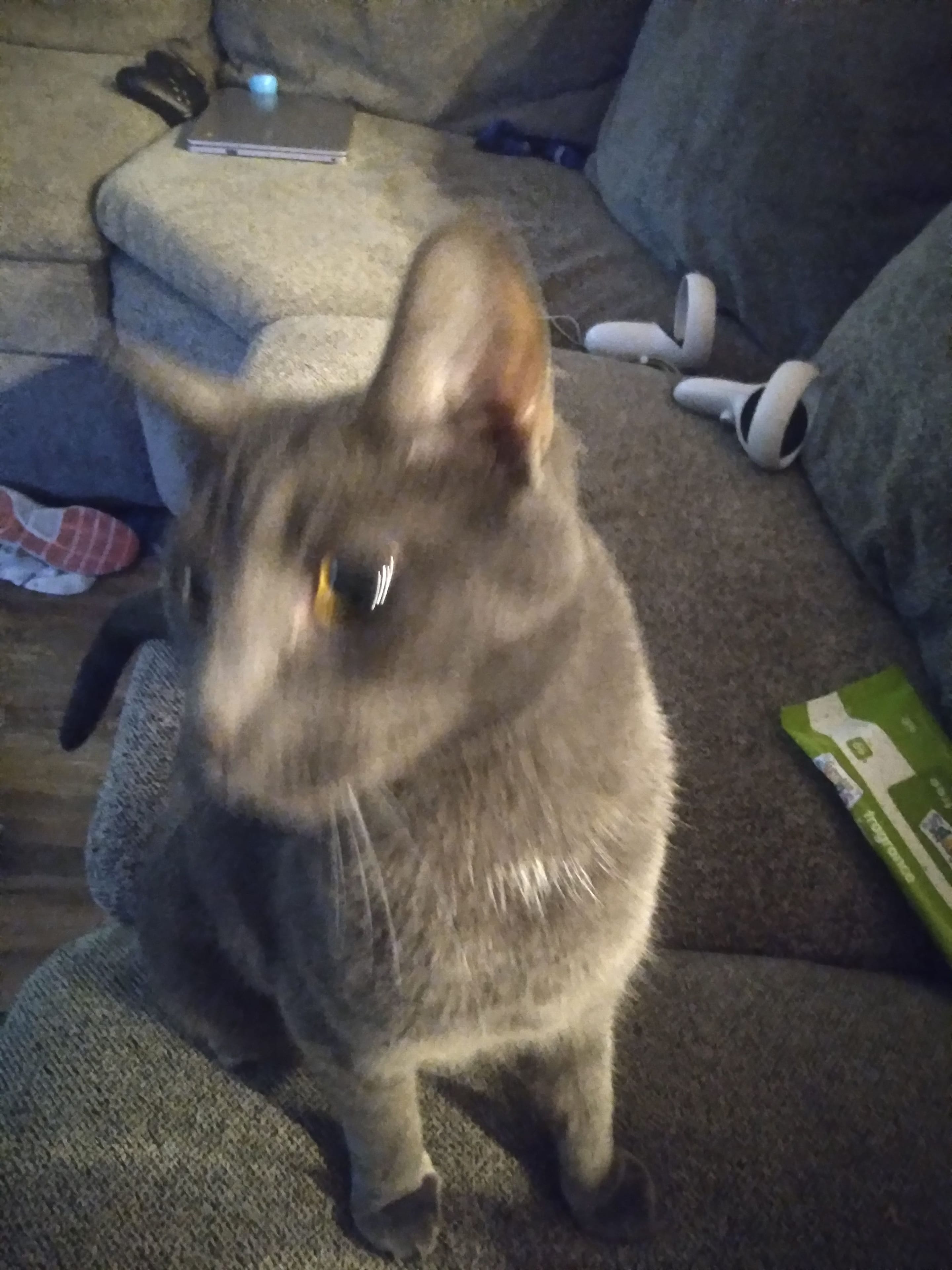 20230528_141207.jpg