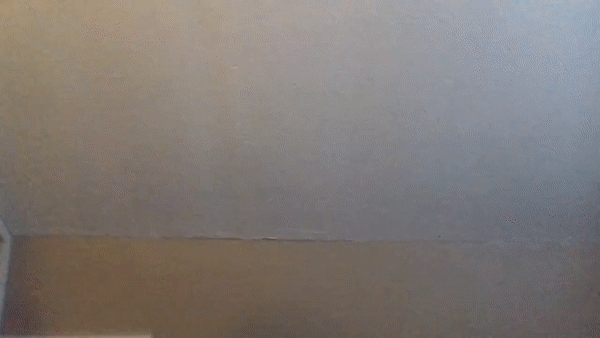 ezgif.com-video-to-gif (1).gif