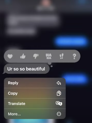 Screenshot 2023-06-04 12.29.53 AM.png