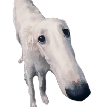 2675e2b4-d7c4-4540-8975-b86b531c4c0f-image.png