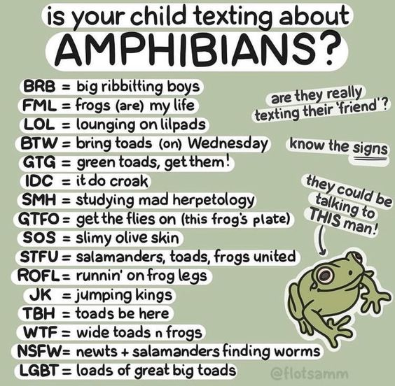 dfe02976-c103-4b6f-8146-58435d8108cc-image.png