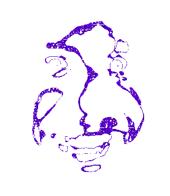 IMG_1753.gif
