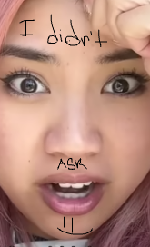11f9ea95-3174-4ff7-844f-5d1b381460bf-image.png