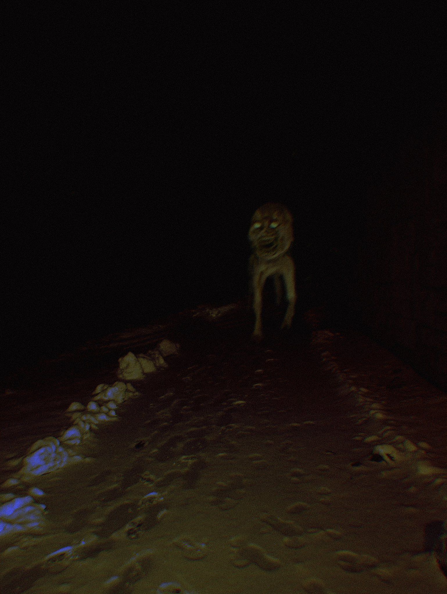 pathway.jpg