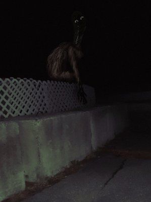 photo7.jpg