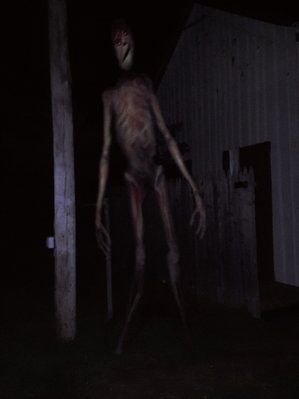 tall.jpg