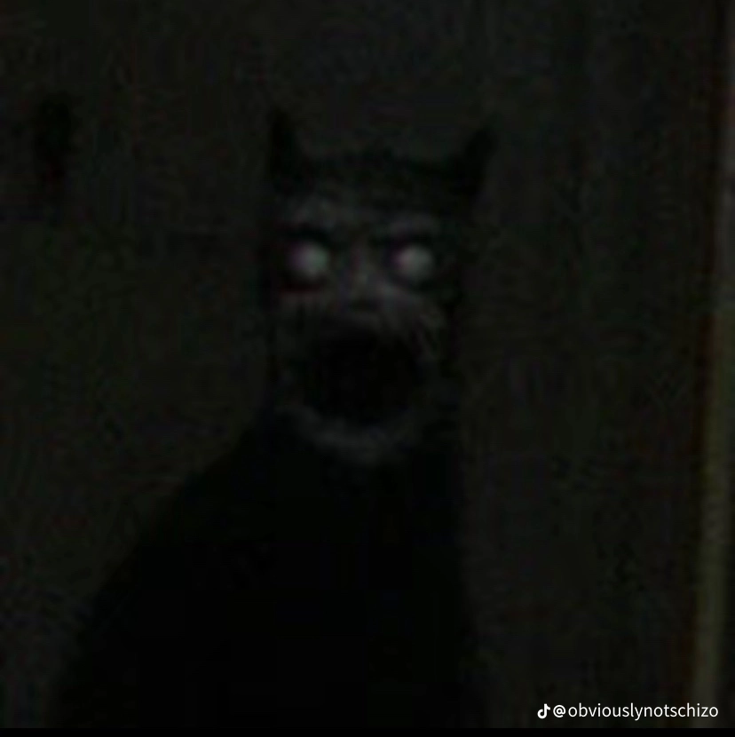 31b31bbf3435652a9f92bfcde73de198.png