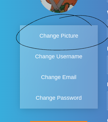 Screenshot 2023-06-15 2.11.39 PM.png