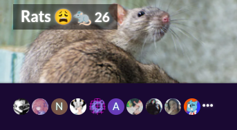 Screenshot 2023-06-15 5.47.07 PM.png