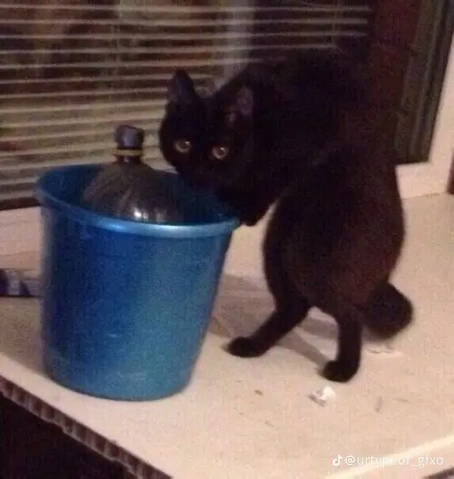 c8eefead412e8a112877f09c23b54e6f.png