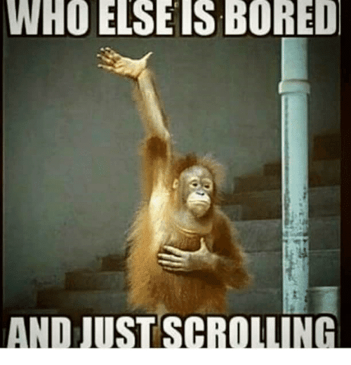 who-else-bored-memes.png