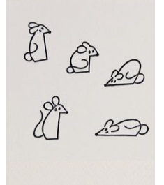 f601342f-f5bf-4afc-8fcb-54a8171ce93a-image.png