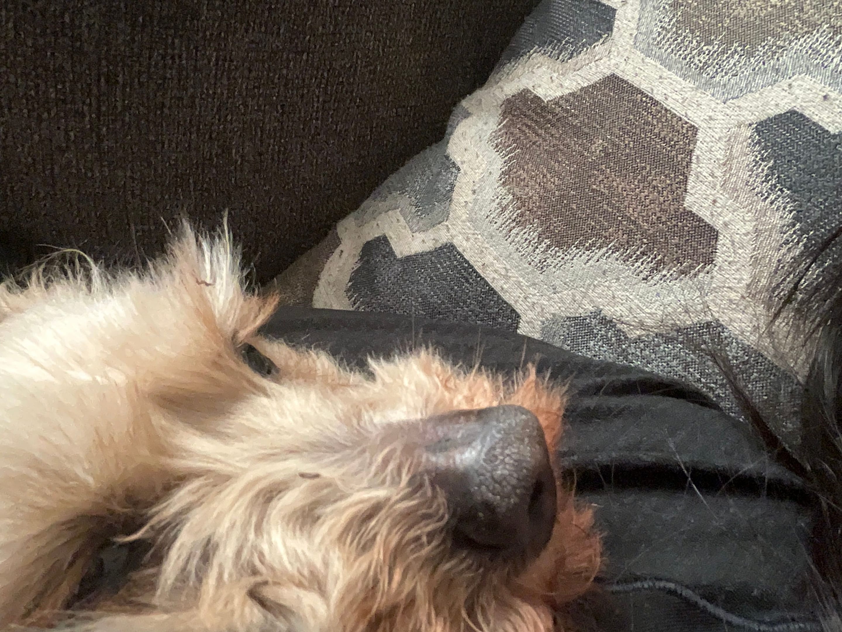 1002DF38-F485-459C-9C99-ADF176654D49.jpeg