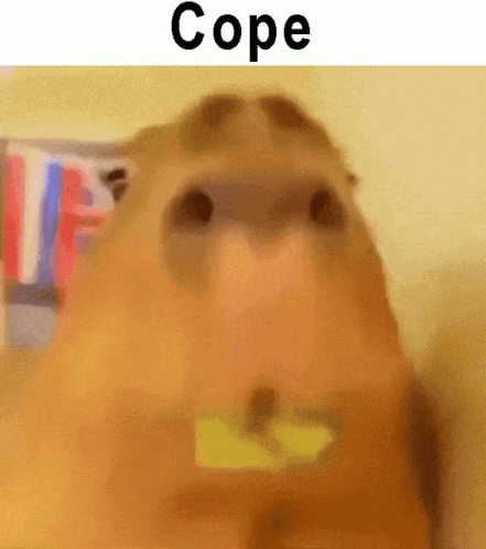 CapybaraCopeGIF (3).gif