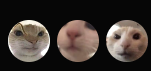 Screenshot_20230810-080815~2.png