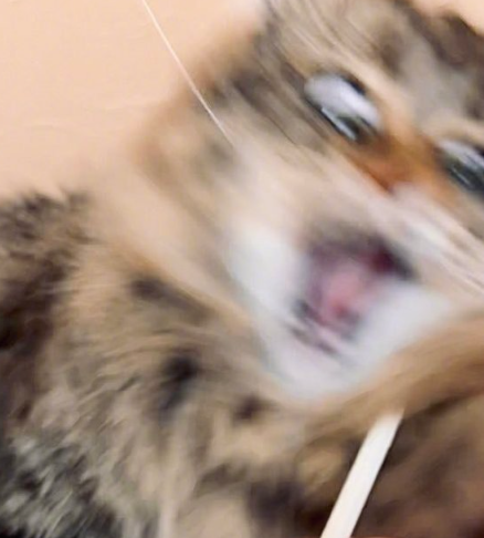 FtbLBl9agAE9SLo.png