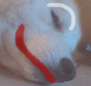 9b1fffc4-e4f7-4a90-8028-97cea15b2a4c-image.png