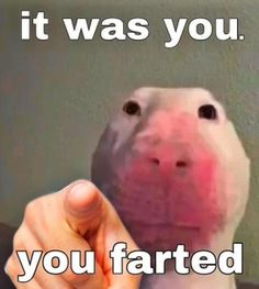 db3e6c03-93f6-4752-9ca3-a44d3146ee5c-image.png