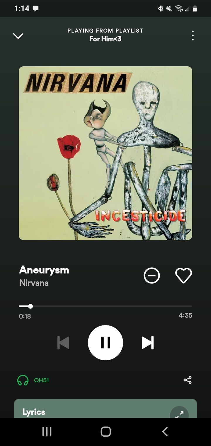 Screenshot_20230905-131429_Spotify.jpg