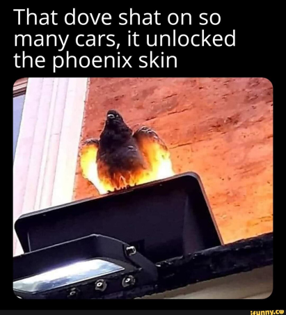 c72aa1a7-a1f7-4d67-a52a-d8df9af4db8a-image.png