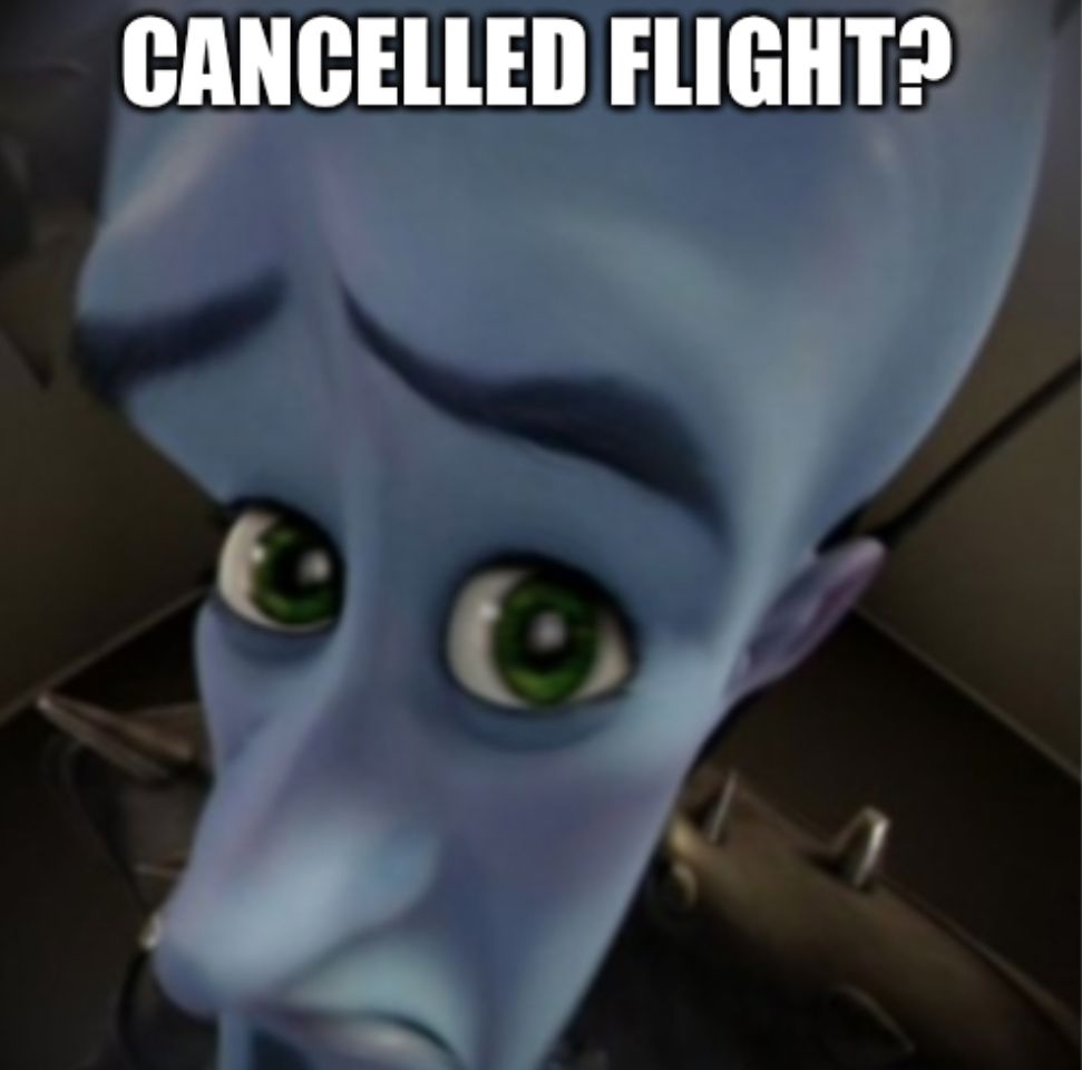 C8A228F3-BB53-40D5-94F4-67E1BCE0CA6D.jpeg