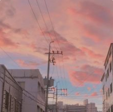 a8d72f58-5ff9-4065-bc02-14dabce23e66-image.png